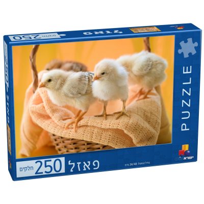 7974