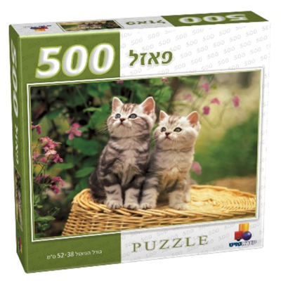 זוג חתולים 500